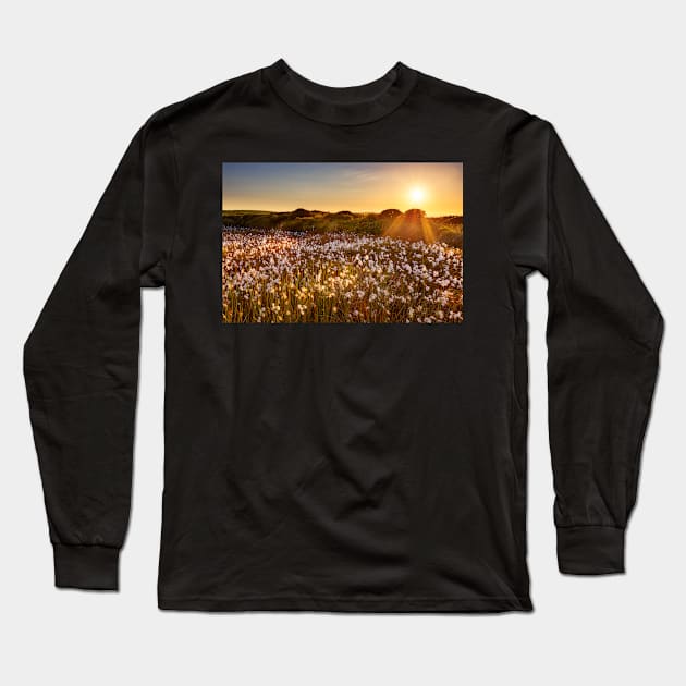 Cotton Grass on Cefn Bryn, Gower Long Sleeve T-Shirt by dasantillo